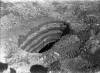 Fossa fatta nel 1917, 50 m a Est dell'Osservatorio Etneo per...
