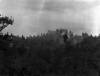 Etna eruzione del 1911, colata lavica nella pineta di Lingua...