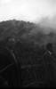 Etna eruzione del 1928, la colata lavica distrugge un vignet...